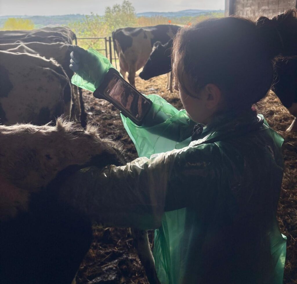 Noelia González on the World Veterinary day reproductive control